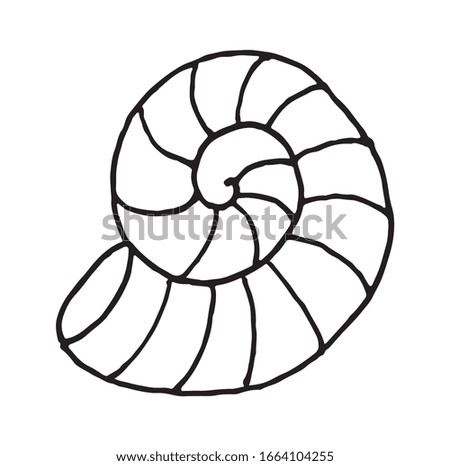 Vector doodle hand drawn sea shell isolated on white background.