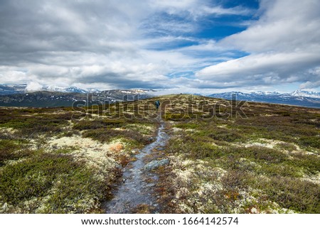 Hiking in the Dovrefjell Norway Royalty-Free Stock Photo #1664142574