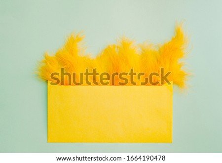 Yellow envelope filled with yellow chicken feathers on a light blue background. Minimalistic spring background.