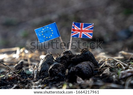EU and British Flag sticking in dog dirt Royalty-Free Stock Photo #1664217961