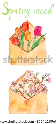 Watercolor illustration. Two envelopes with flowers. Sakura and tulips. Calligraphy made with the texture of watercolor paper and splashes. Perfectly for greeting card, banner, site, poster floral.