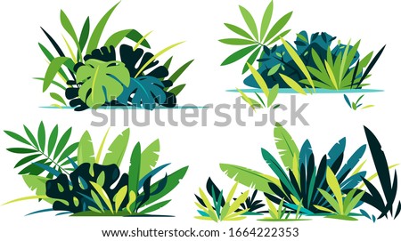 Decorative compositions of different jungle plants on ground, group of green plants isolated, dense vegetation of the jungle Royalty-Free Stock Photo #1664222353