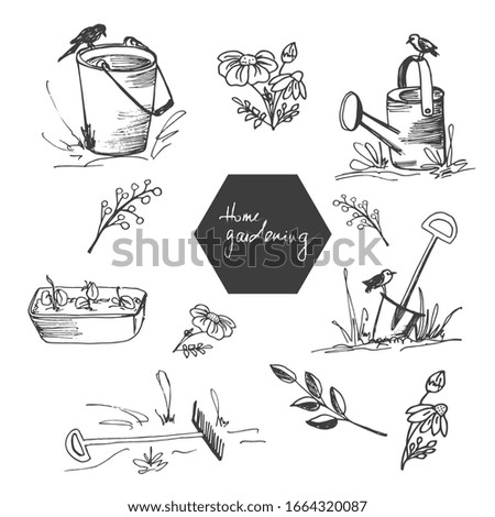 Hand drawn doodle set of home gardening tools and plants