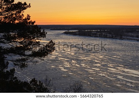 Silhouette of a pine forest on the background of the river and a bright winter sunset