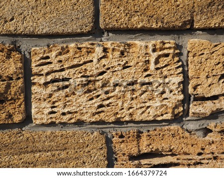 Laying. Wall. Natural stone. Crimean gerbil.	