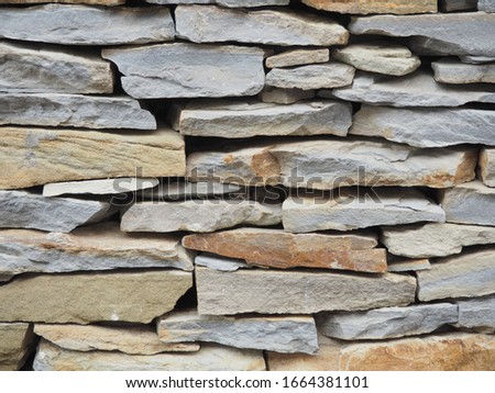 Laying. Wall. Natural stone. Crimean gerbil.	