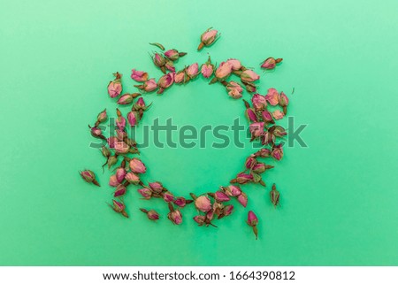 Round frame of tea rose buds top view on green background. Picture with copy space