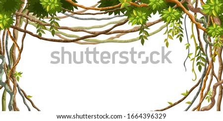 Liana branches and tropical leaves. Cartoon frame plants of jungle with space for text. Isolated vector illustration on white background.