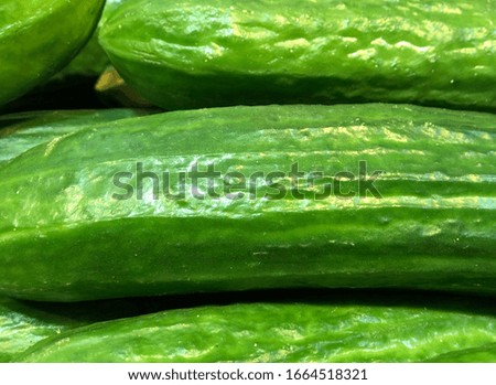 Green Background part of Fresh Green Cucumber Close Up