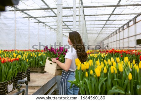 Beautiful young smiling girl, worker with flowers in greenhouse. Concept work in the greenhouse, flowers. Copy space – stock image