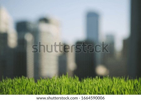 Lush, green grass in foreground, and the Seattle city skyline in the distance.