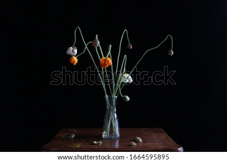 Close up picture of some orange and white flowers (Corn Poppy, also called Shirley Poppy or Papaver rhoeas) on a wooden table with a black background.
