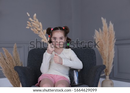  Romantic portrait of a young pretty girl of seven years old with a funny hairstyle sitting in a big gray armchair holding dry ears of grass and grass in her arm, autumn dried plant herbariums