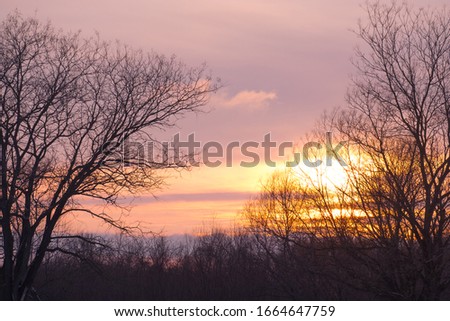 winter landscape sunset yellow sun in the clouds through the trees