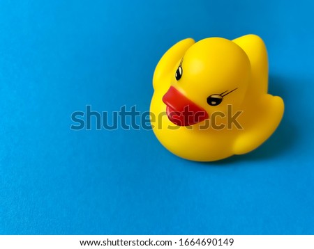 yellow rubber toy duck on a blue background.  close-up, copy space, top view.  Summer minimal concept.