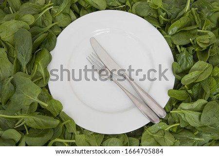 A white china plate with a knife and fork, resting on edible leaves. The concept of healthy eating.