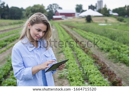 An organic farm growing vegetables. A woman in the fields inspecting the lettuce crop, using a digital tablet.