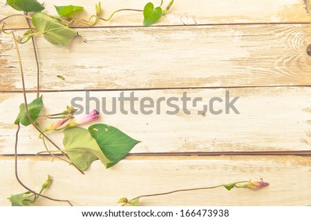 Romantic floral frame background