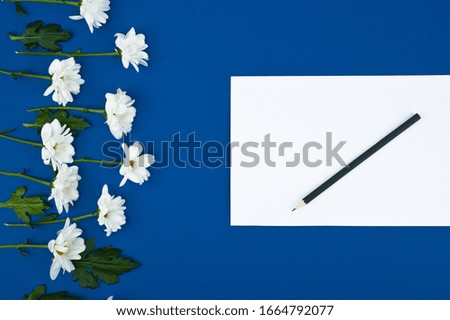 Creative layout of a picture of flowers. Blank paper greeting card. Space for text