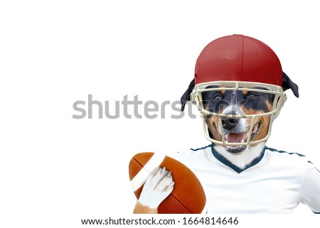 funny american football rugby dog
