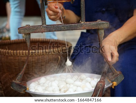 Woman Hand And Raw Silk Thread Of Silkworm Cocoons. Traditional Silk Production In Thailand. Royalty-Free Stock Photo #1664847166