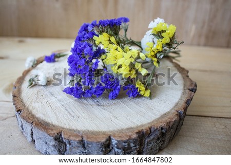 Blue daisy flower. Flower in garden at sunny summer or spring day. Flower for postcard beauty decoration and agriculture concept design. flower background