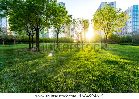 park in lujiazui financial center, Shanghai, China Royalty-Free Stock Photo #1664994619