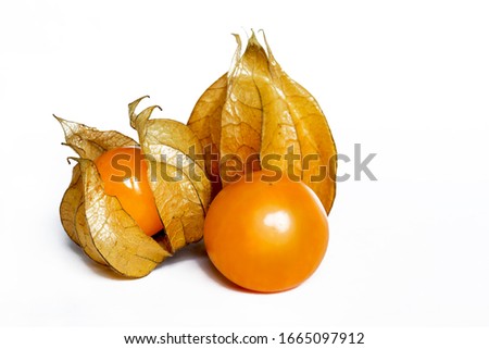 ripe physalis berries isolated on white Royalty-Free Stock Photo #1665097912