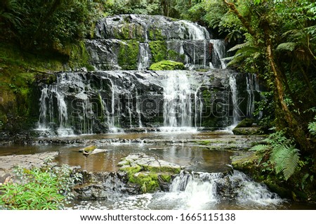 pretty purakanui falls in a silver beech and podocarp forest in the catlins coastal region of southland, on the south island of new zealand Royalty-Free Stock Photo #1665115138