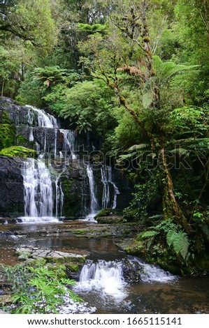 pretty purakanui falls in a silver beech and podocarp forest in the catlins coastal region of southland, on the south island of new zealand Royalty-Free Stock Photo #1665115141