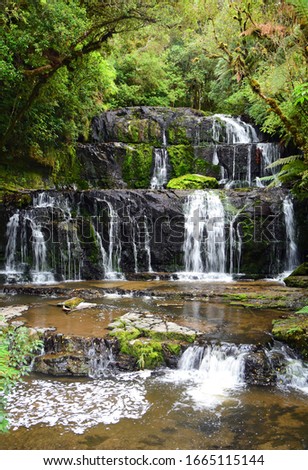 pretty purakanui falls in a silver beech and podocarp forest in the catlins coastal region of southland, on the south island of new zealand Royalty-Free Stock Photo #1665115144