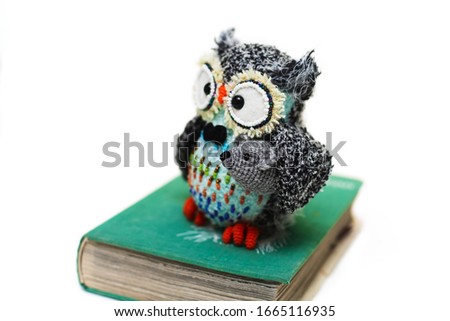 Handmade knitted toy. Amigurumi black owl toy holding mouse and sitting on the book  on the white background. Crochet stuffed animals. 