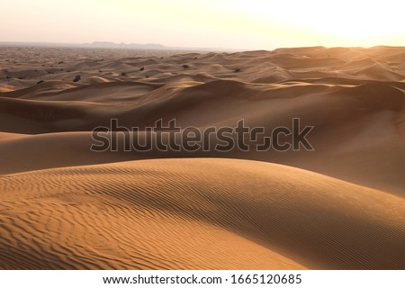 Desert landscape in the RUB al-Khali desert . The texture of sand dunes in the desert is yellow and orange. Red and yellow sand dunes