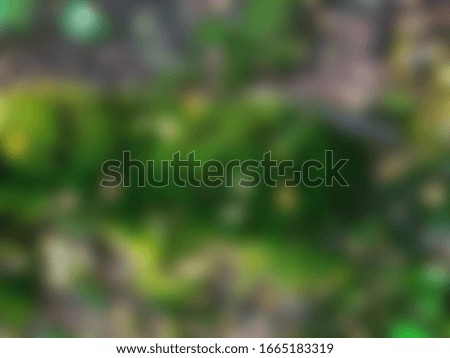 Blurred abstract nature slide background. Forest ground covered with green moss and fallen leaves