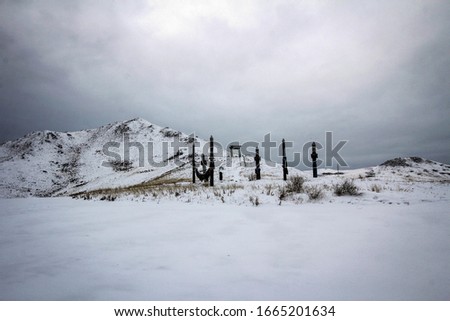 Shamanic piles winter view near Selenga River, Buryatia, Russia