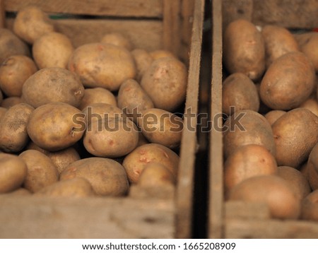 Fresh Organic Potato on Tray at the Farmer Market, Selective Focus.
A pile of organic potatoes lying in a tray