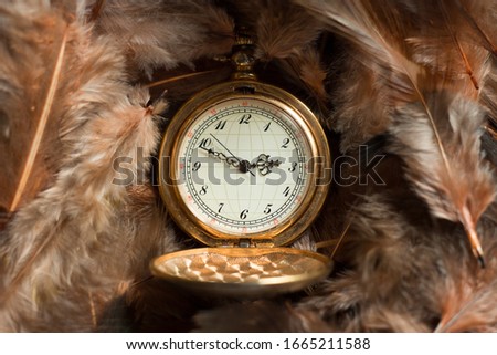 Golden pocketwatch on ten to three p.m. in the middle of the airy lightsome brown and orange feathers