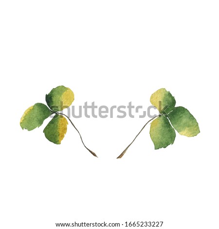 Two green leaves of wild strawberry isolated on white background. Watercolor hand drawing illustration of trefoil of bush strawberry. Perfect for print, card, logo, decoration.
