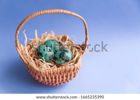 Three small blue quail Easter fresh organic eggs in a small basket on light blue background with copy space.
