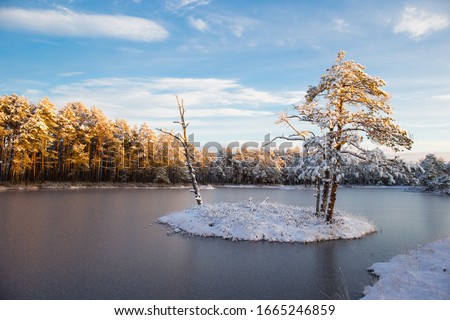 Winter sunrise and frozen marsh lake with small island and frosty pine trees and frosted forest in the background