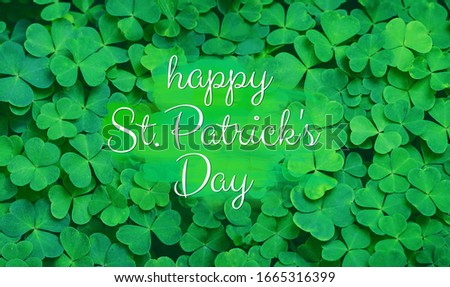 Happy St. Patrick's day greeting card. clover leaves green natural background. shamrocks, St.Patrick`s day symbol. 17 march holiday, festive spring season