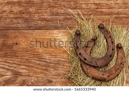 Two cast iron metal horse horseshoes on hay. Good luck symbol, St.Patrick's Day concept. Old wooden background, horse accessories, top view