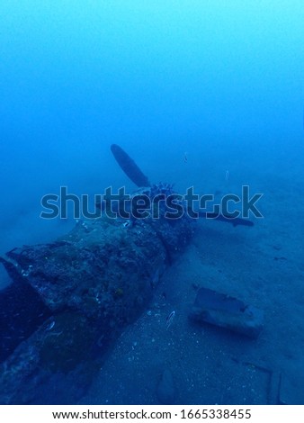 Zero Fighter plane wreck in Rabaul . Papua New Guinea  Royalty-Free Stock Photo #1665338455