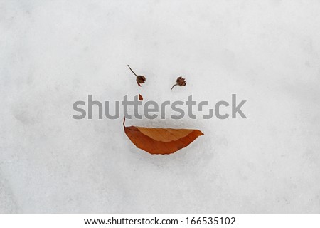 Fallen leaf and buds drawing a face on the snow