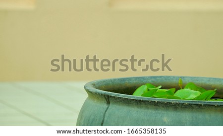 Picture of a basin for planting lotus flowers