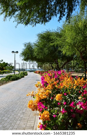 Autumn landscape view of the Park with flowers. Dubai. Emirates