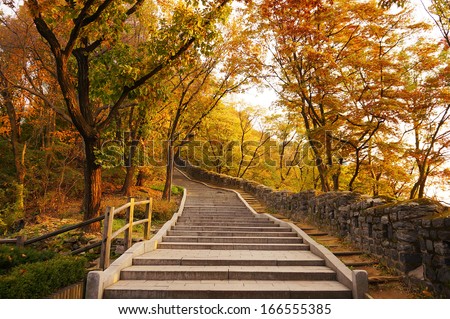 Stairs going uphill during autumn  Royalty-Free Stock Photo #166555385