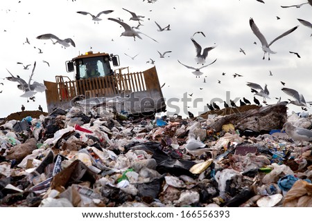Bulldozer working on landfill with birds in the sky Royalty-Free Stock Photo #166556393
