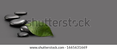 Black stones with green leaf on gray. Horizontal nature background.
