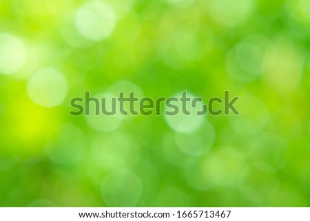 Beautiful abstract green light bokeh for background or backdrop